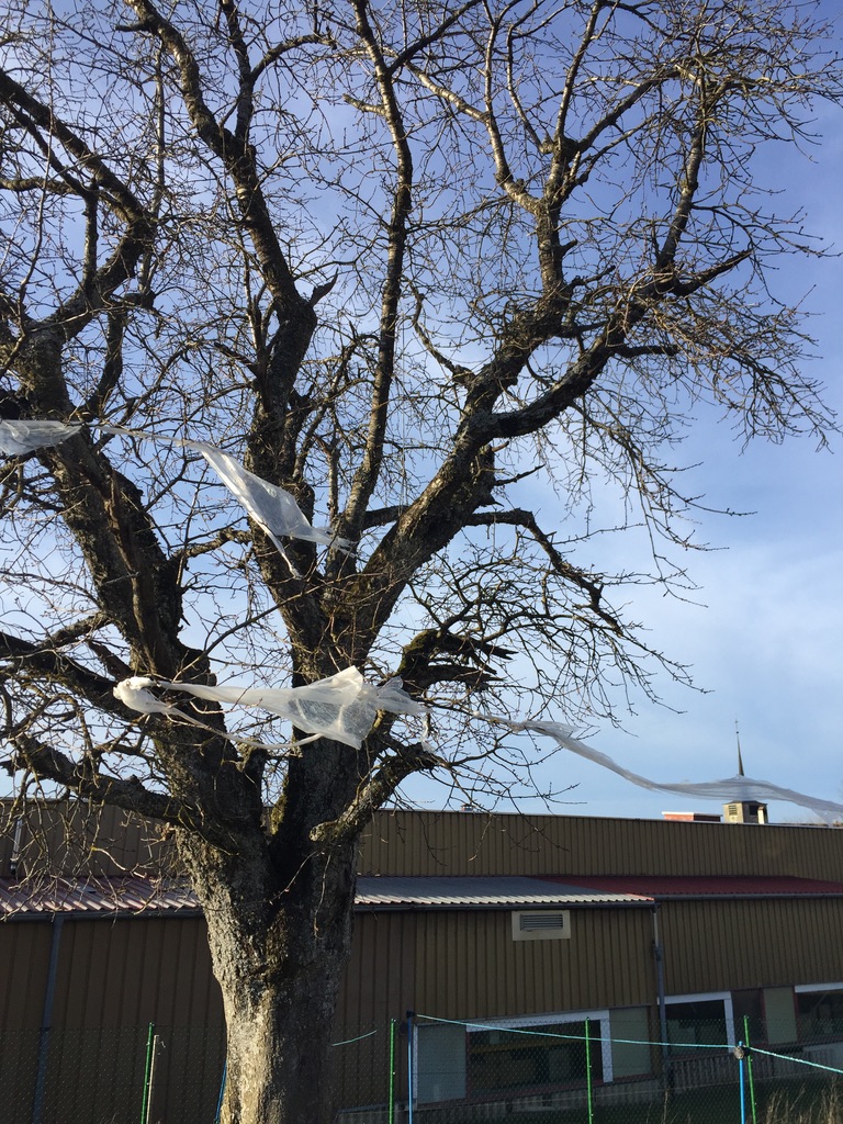 Nettoyage collectif du quartier